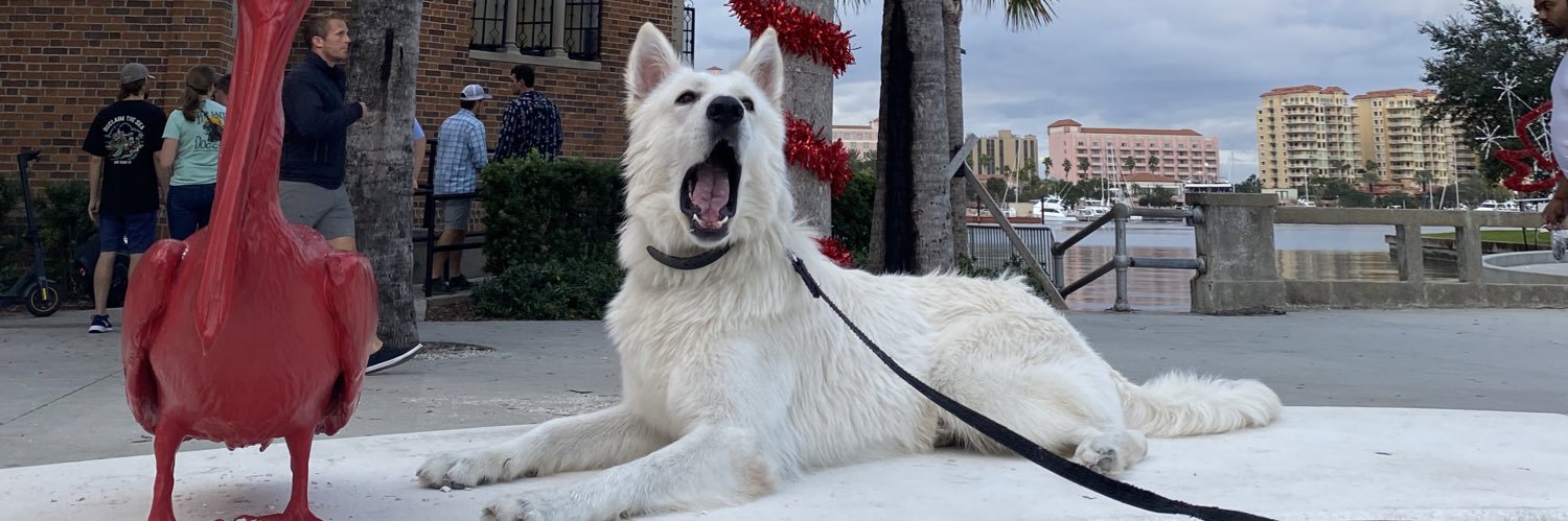 Austin Bitzas banner