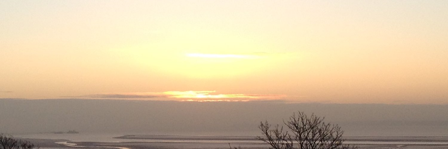 Gee (Bookphace) banner