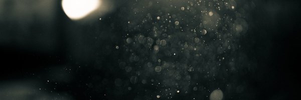 ScourgeOfTengri Profile Banner