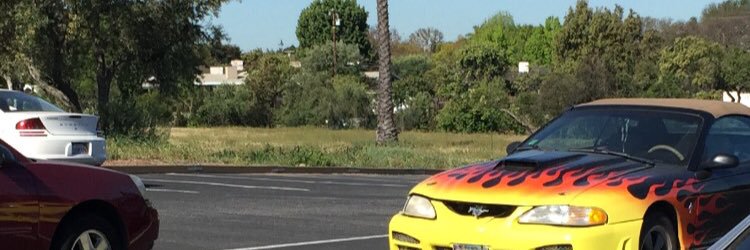 Elliot Whiting banner