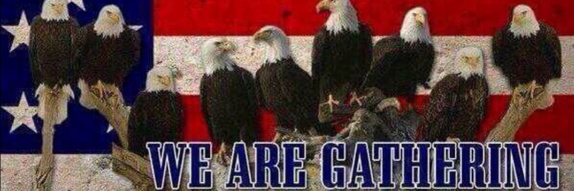 FIGHT FIGHT FIGHT Mary 🇺🇸 banner