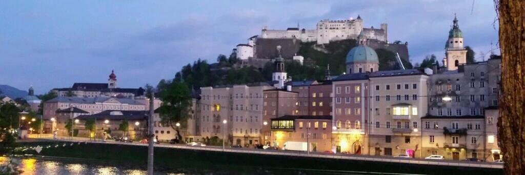 Antti Metsänkylä banner