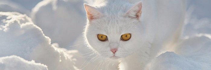 GÖKDENizMAVİSİ🫧 banner