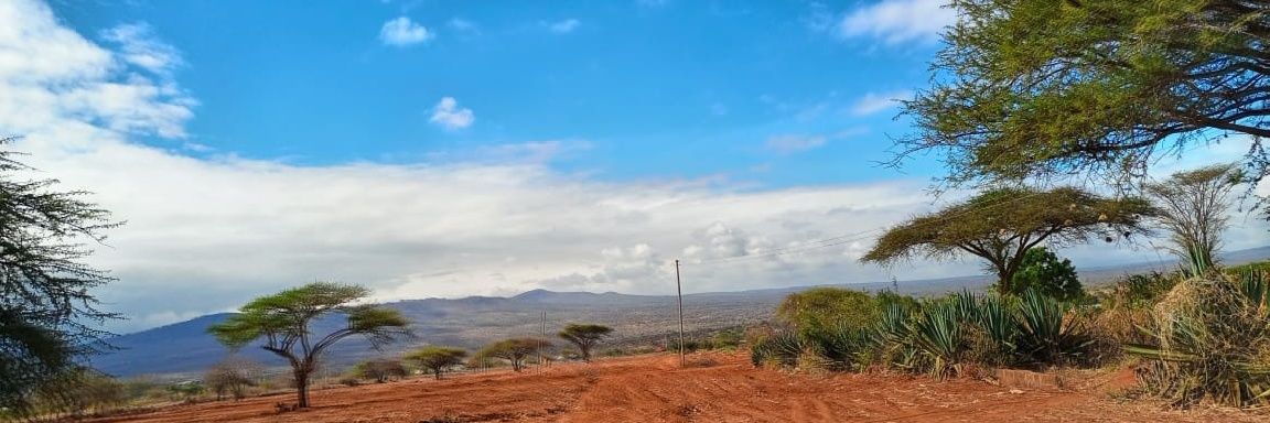 muthoni's profile banner image