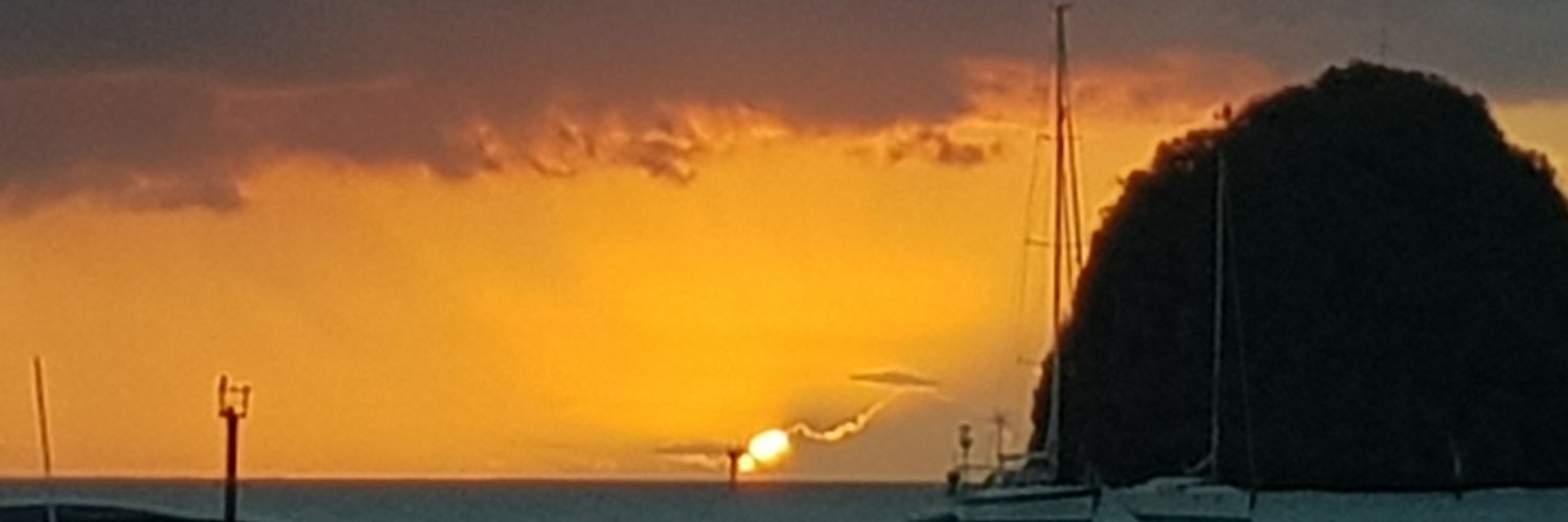 nvincy's profile banner image