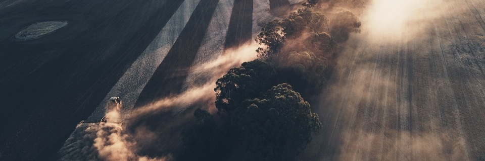 PierreM.Dbrnt 🇨🇵🌱 banner