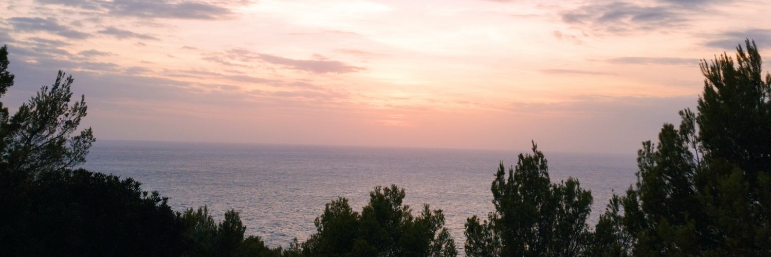 conxaadrover_'s profile banner image