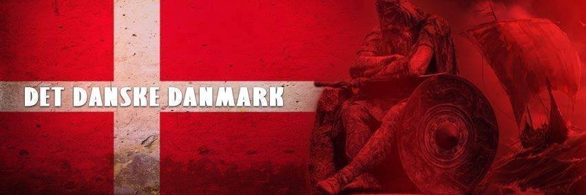 Topper the Dane 🇩🇰 banner