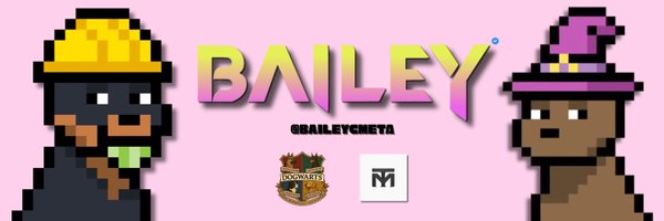 baileycMETA Profile Banner