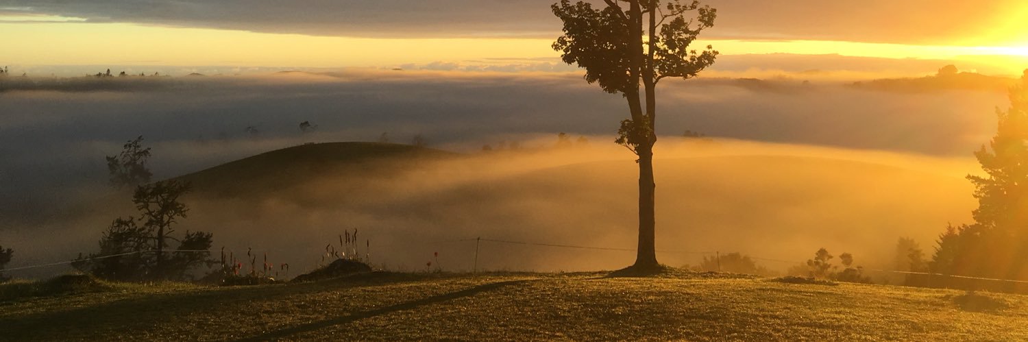 computermusic's profile banner image
