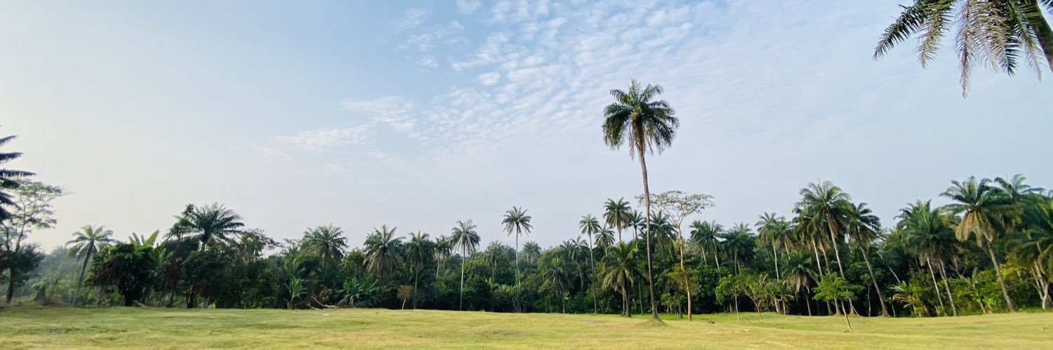 olumioye's profile banner image