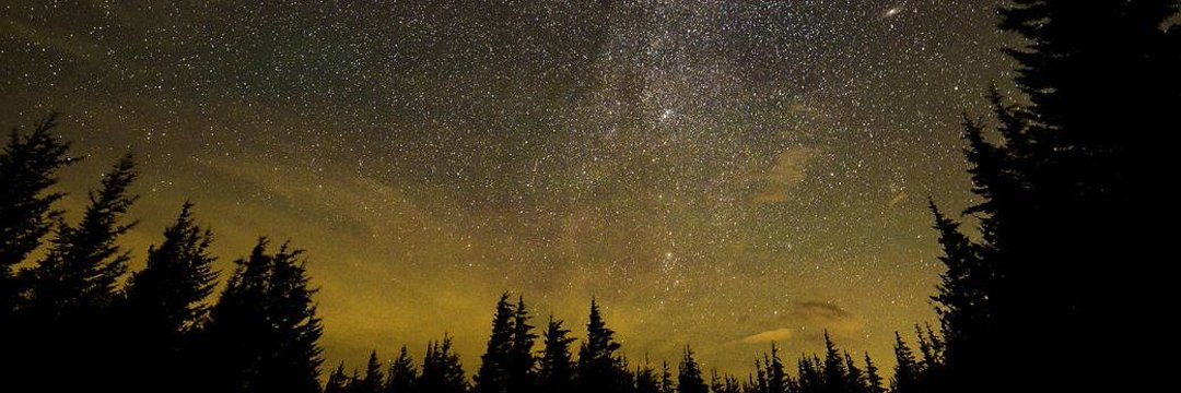 Henry Elfson⚡ banner