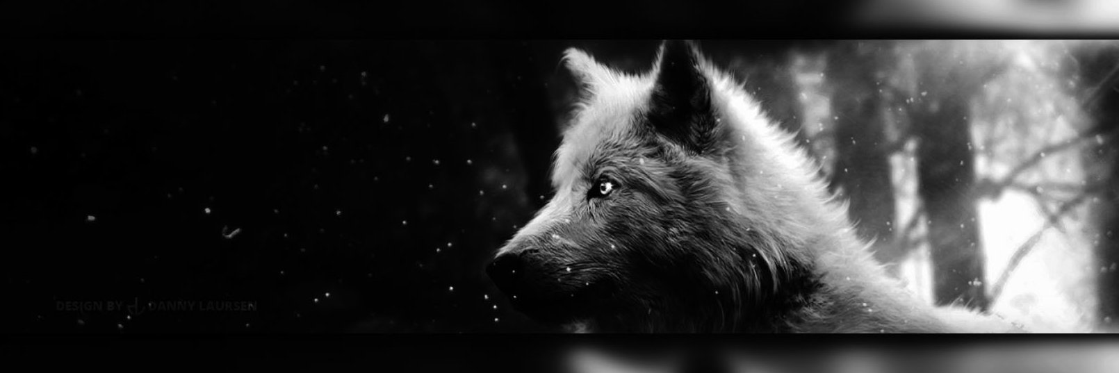 SoulcruiserLP's profile banner image