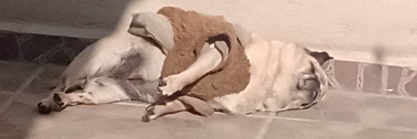 SepsyWow Profile Banner