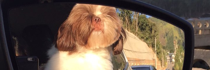 Campos_Deboraa's profile banner image