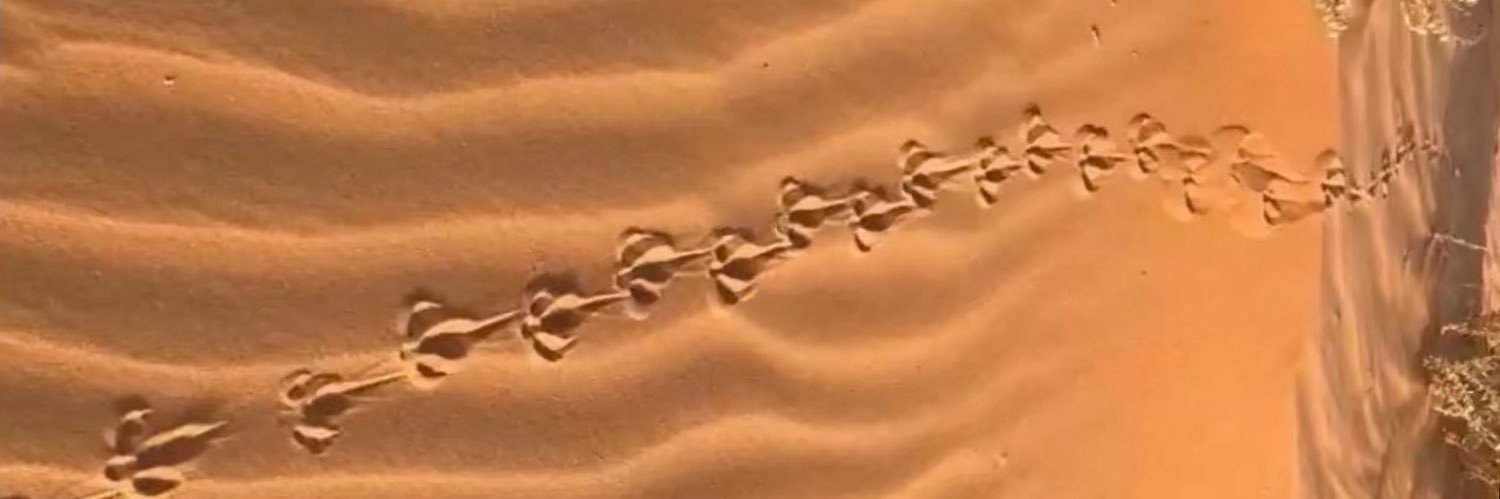 هــاني العطني banner