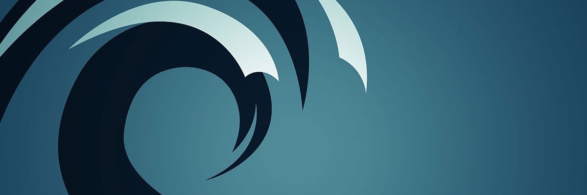 Steven Irwin banner