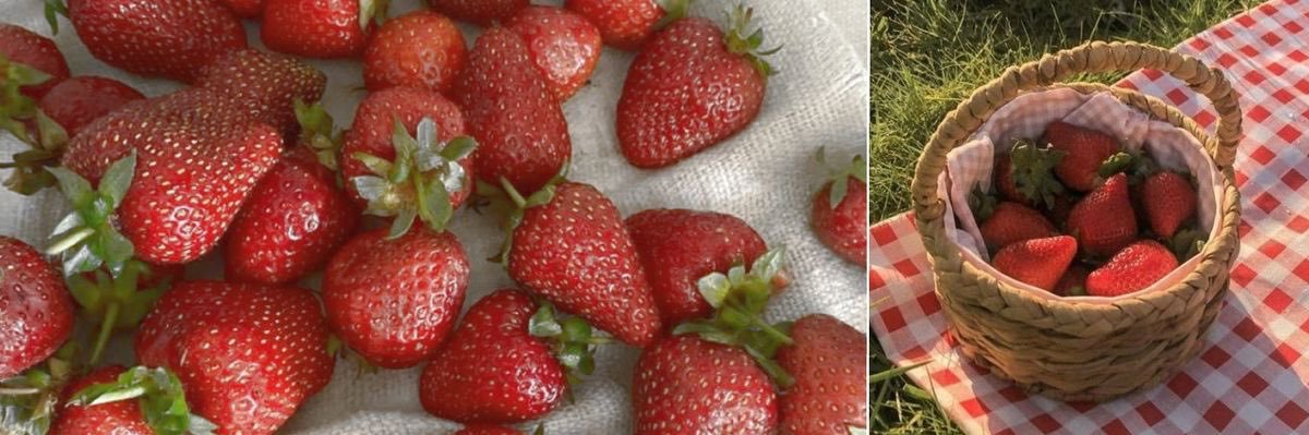 mikka 🍓💭 banner