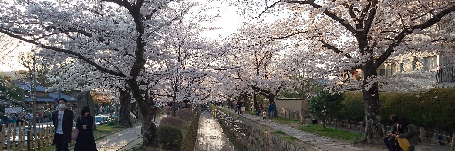 Taro from Tokyo banner