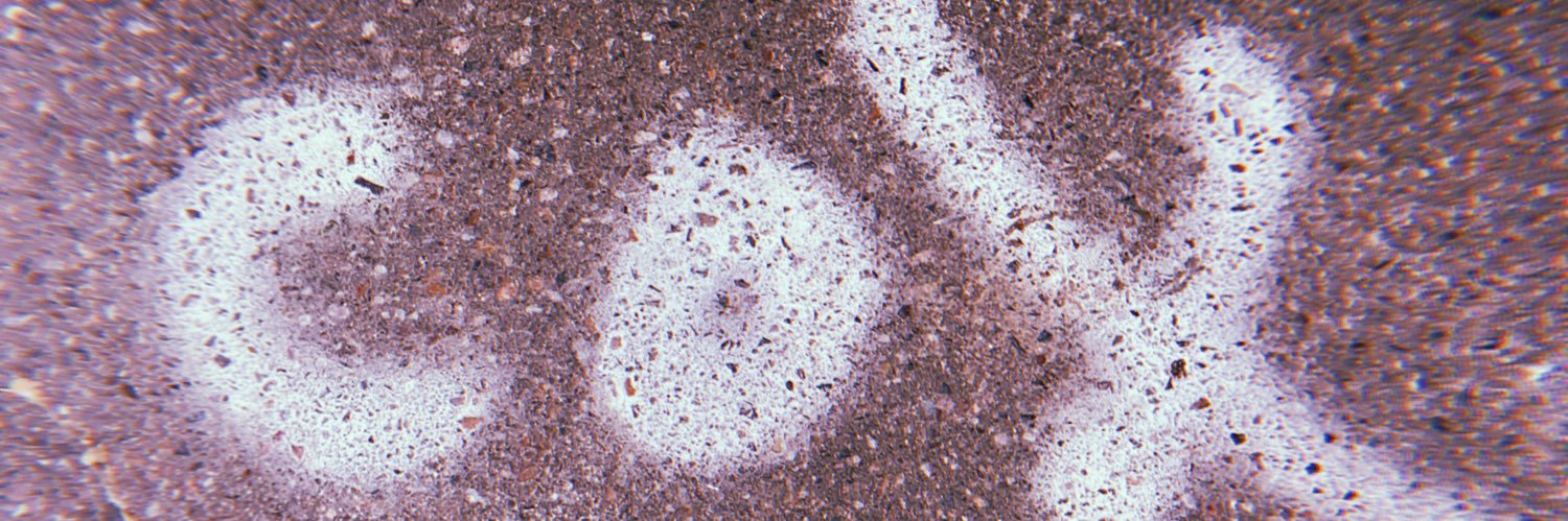 coxxxx_sam's profile banner image