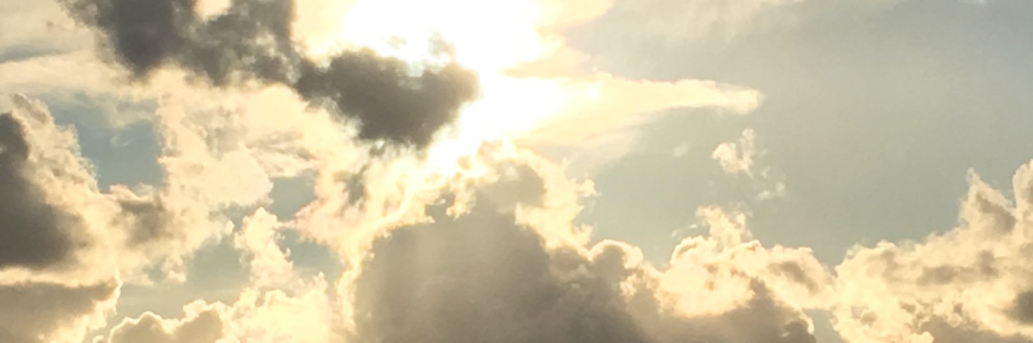 Liesbeth Post banner