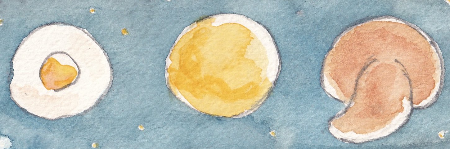 mukushiba's profile banner image