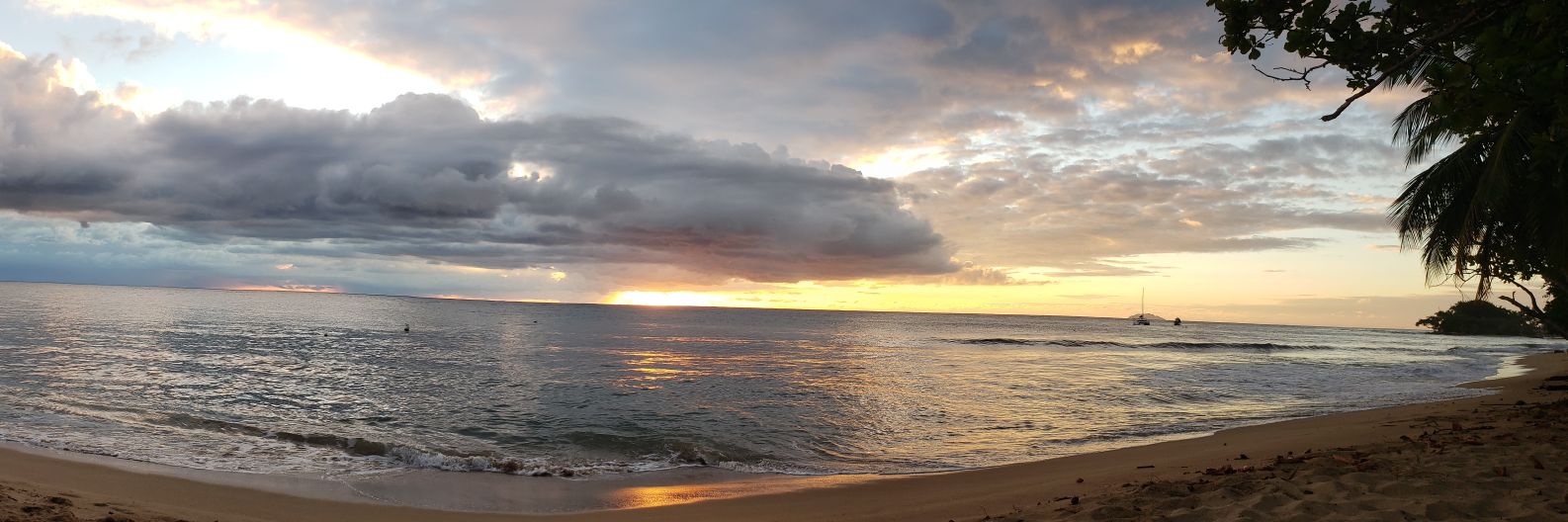 melindacaro's profile banner image