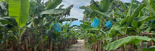 GeographyJog Profile Banner