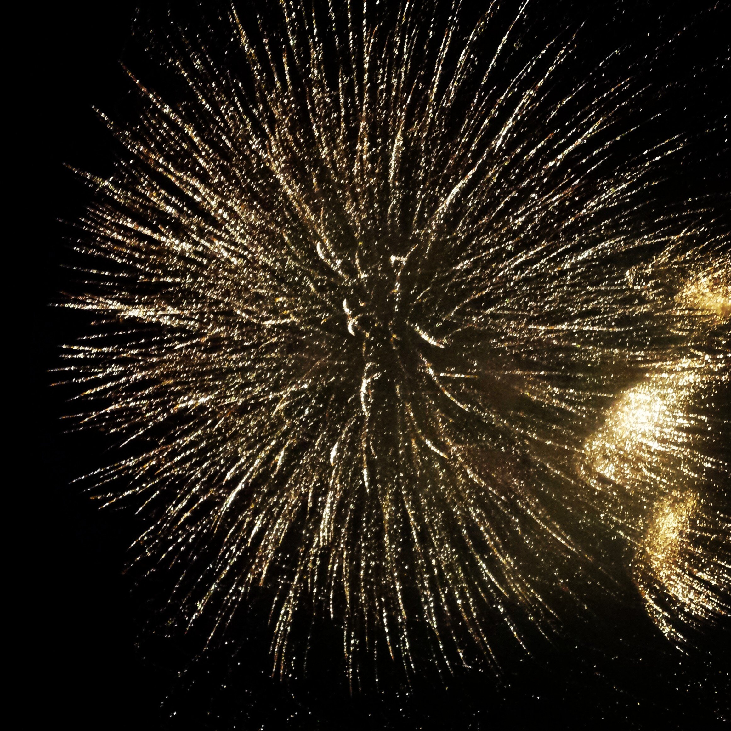 Mariahk2016's profile banner image