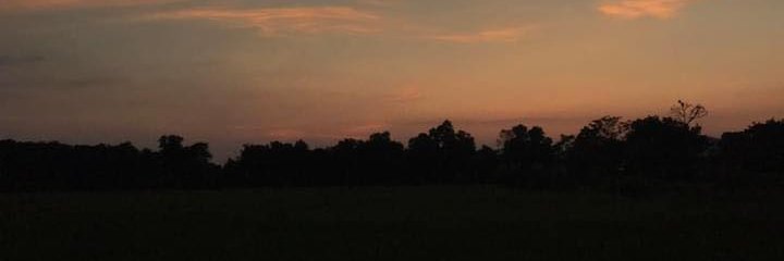 ReviewOng's profile banner image