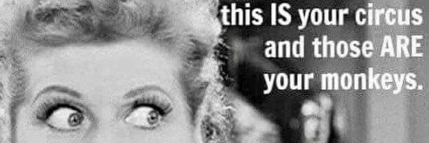 MikseiMikkeli Timo Paakki banner