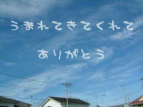 ＊なぁこ＊ banner