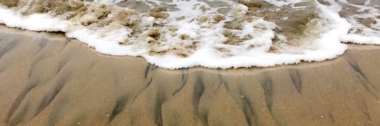 jackiegisellC's profile banner image