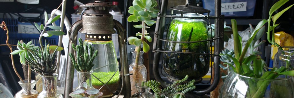 kato norihiro banner