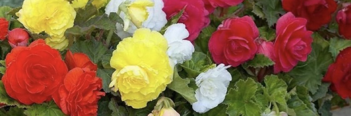 Mno989's profile banner image