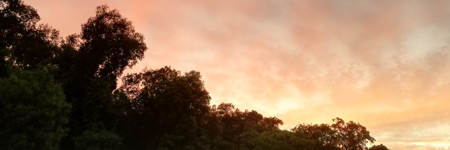 irejimenez34's profile banner image