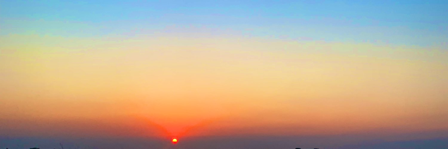 Perrocochinooo's profile banner image