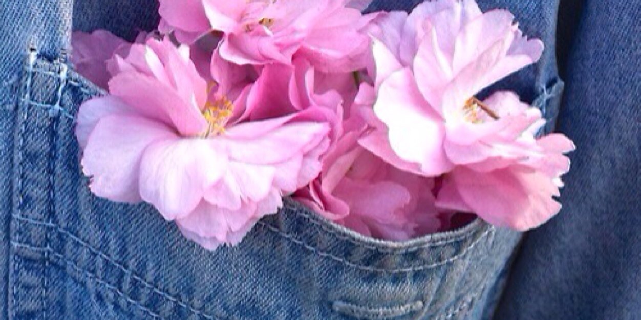 AngieGarau's profile banner image