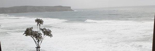 gemaP67 Profile Banner