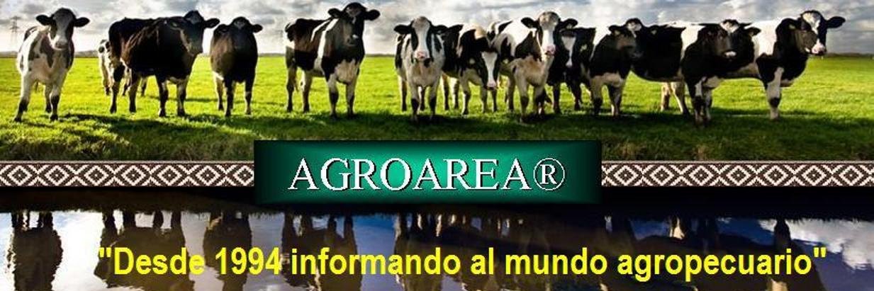 AGROAREA's profile banner image