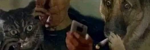 สีนาย banner