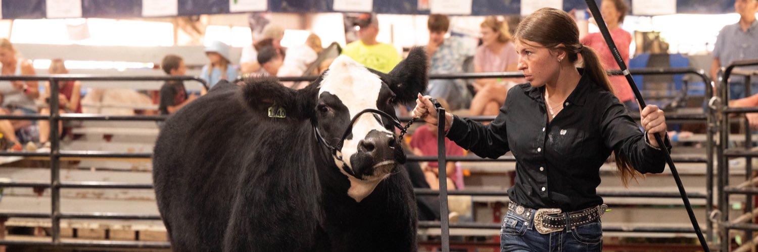 Callie Koons 2028 banner