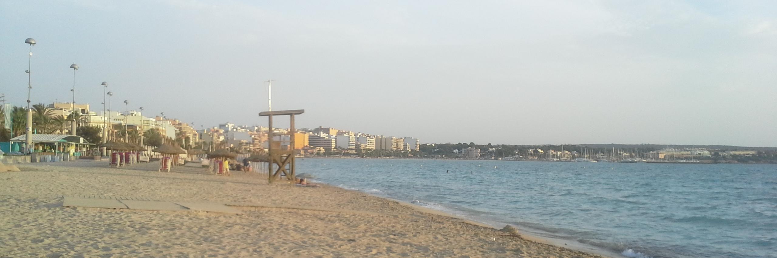 David Breskvar banner