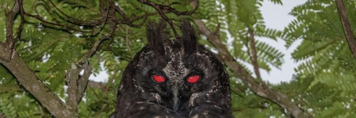 Brent “BDE” Note banner