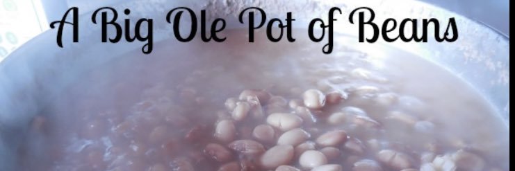 bigolebeans's profile banner image