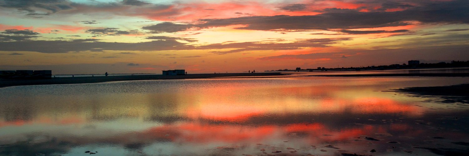 David Crigger banner