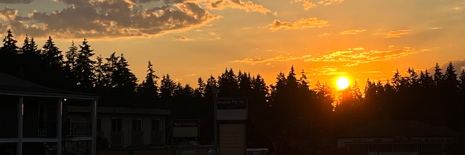 Kassidy Coursey—demon conservationist banner