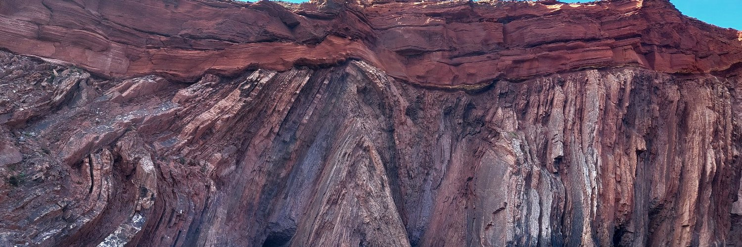 João C. Duarte banner