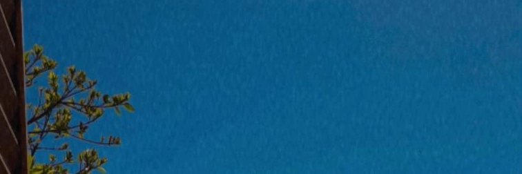 FlaviaMabelg's profile banner image