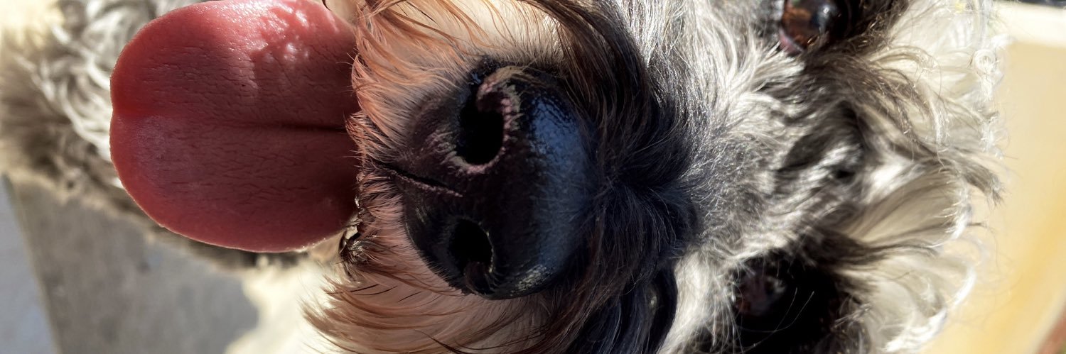 liztt__'s profile banner image